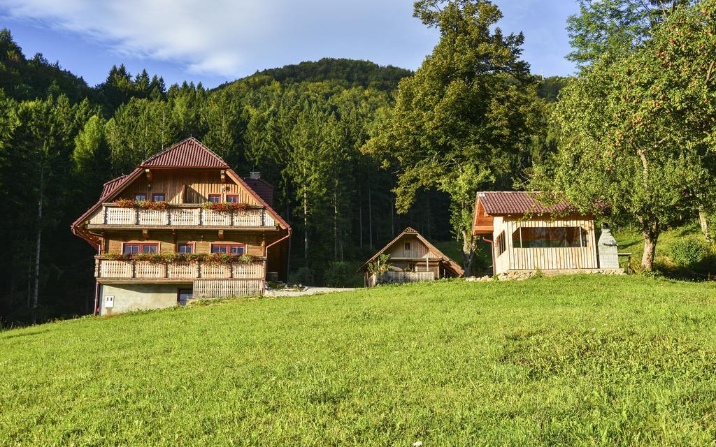 Apartments Petek Gornji Grad Cameră foto